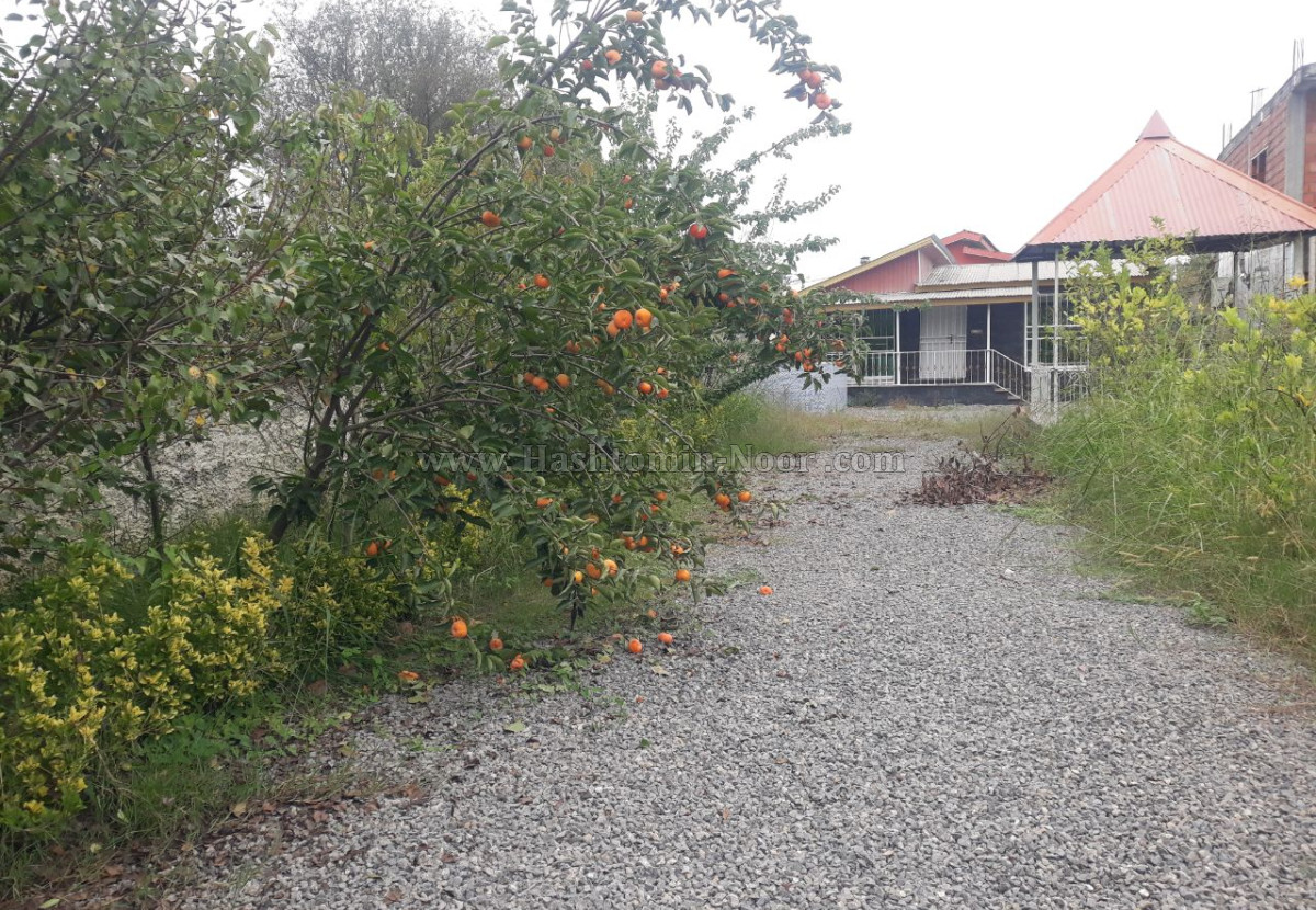 ویلا باغ اسخردار جاده پارک جنگلی نور